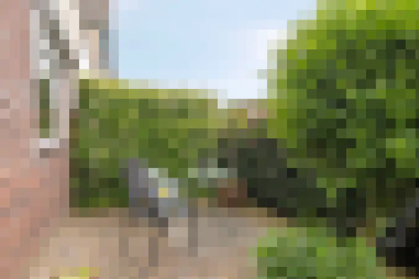 Andoornweg 33 Grave thumbnail 7
