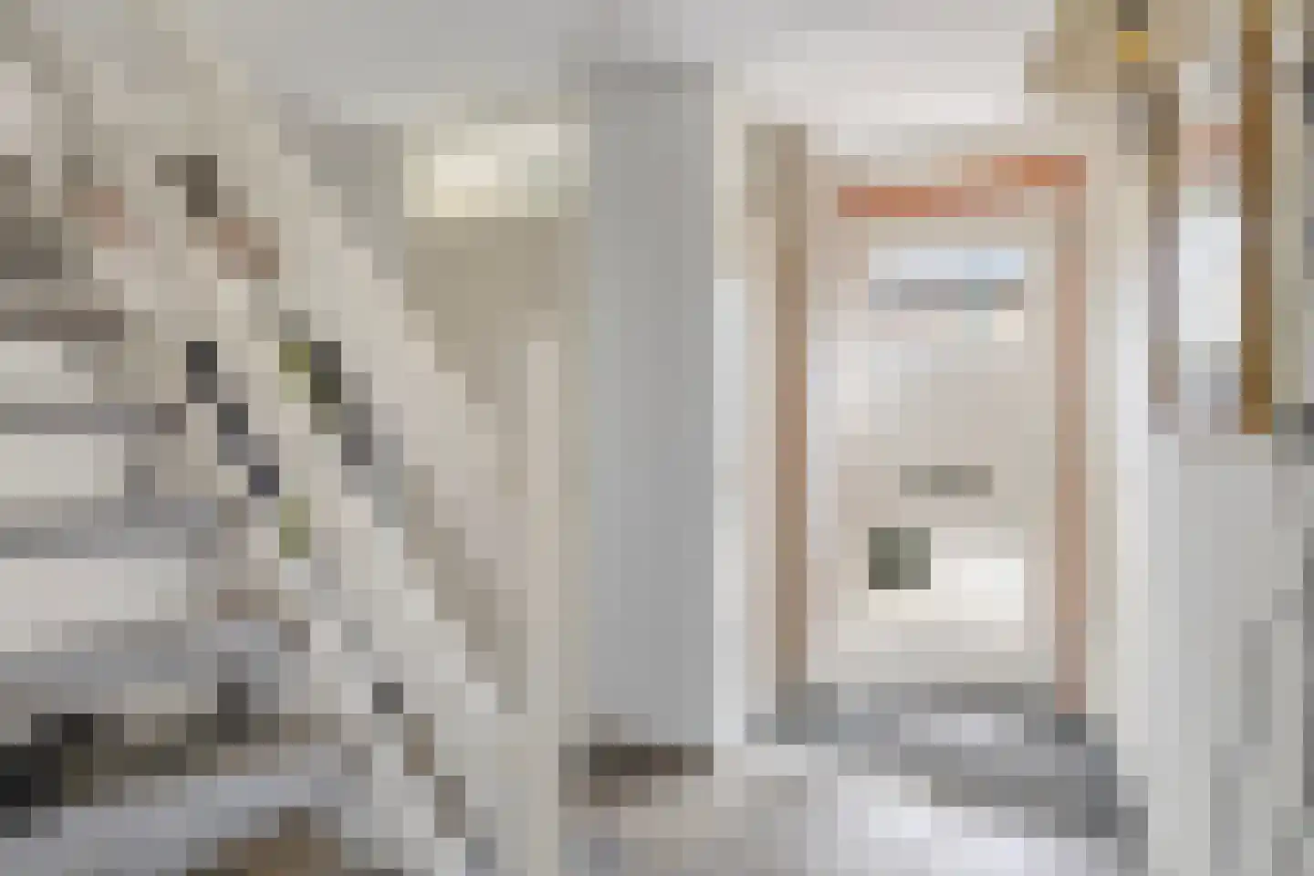 Andoornweg 33 Grave thumbnail 8