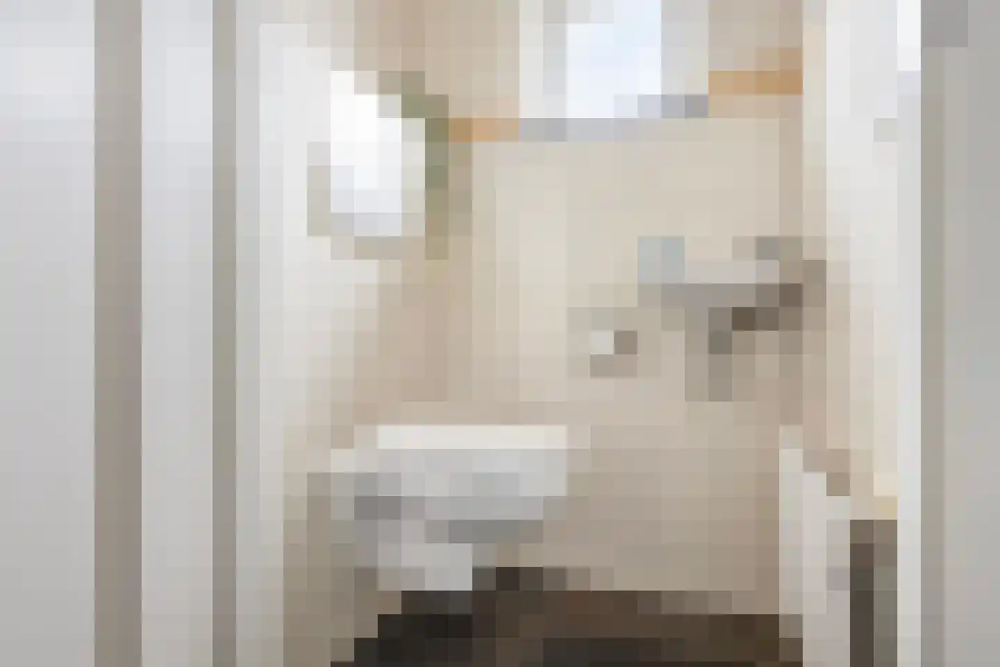 Andoornweg 33 Grave thumbnail 9