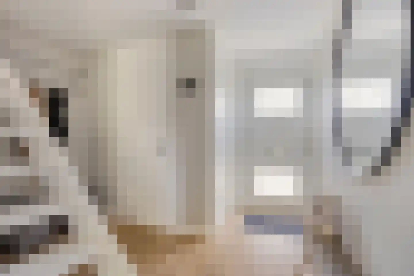 Andoornweg 37 Grave thumbnail 10
