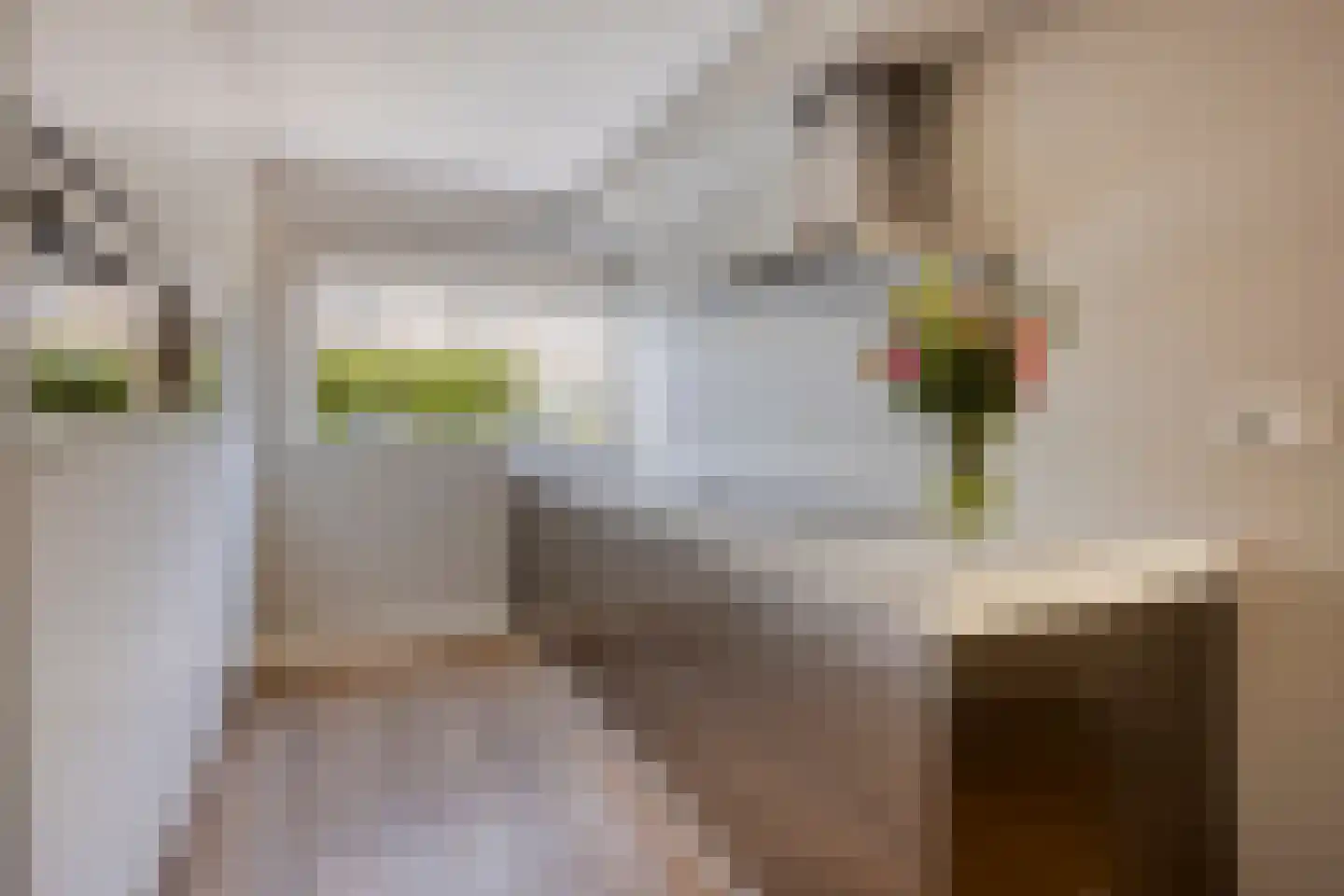 Andoornweg 37 Grave thumbnail 20