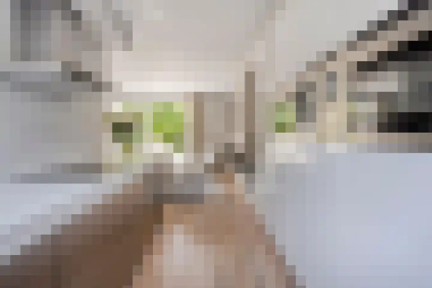 Andoornweg 37 Grave thumbnail 22