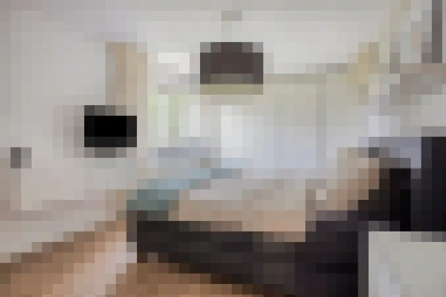 Andoornweg 37 Grave thumbnail 25