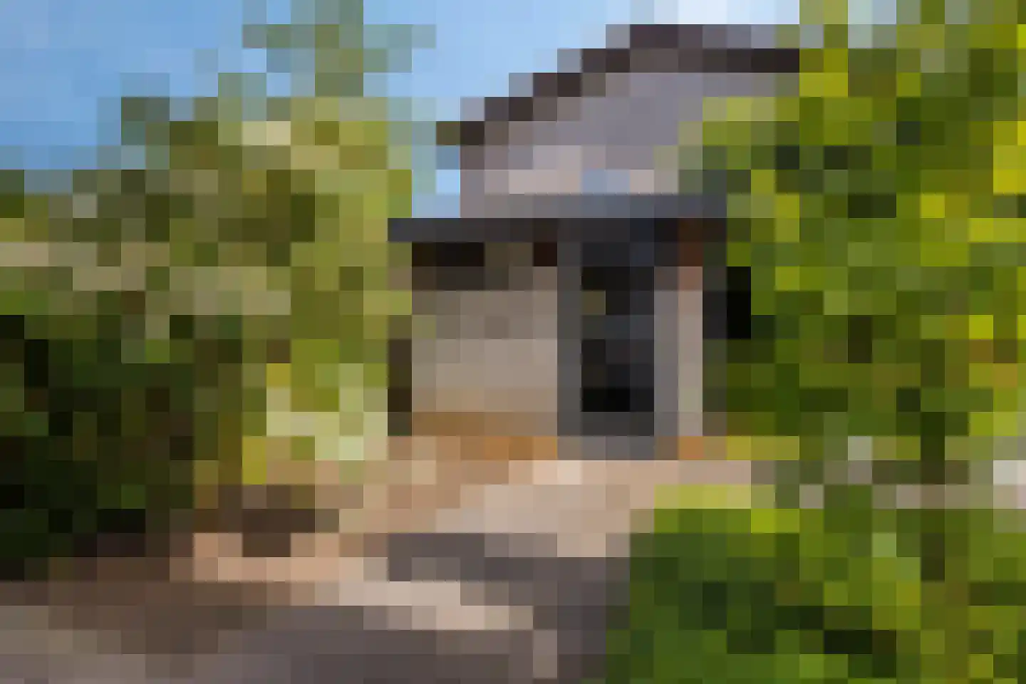 Andoornweg 37 Grave thumbnail 39