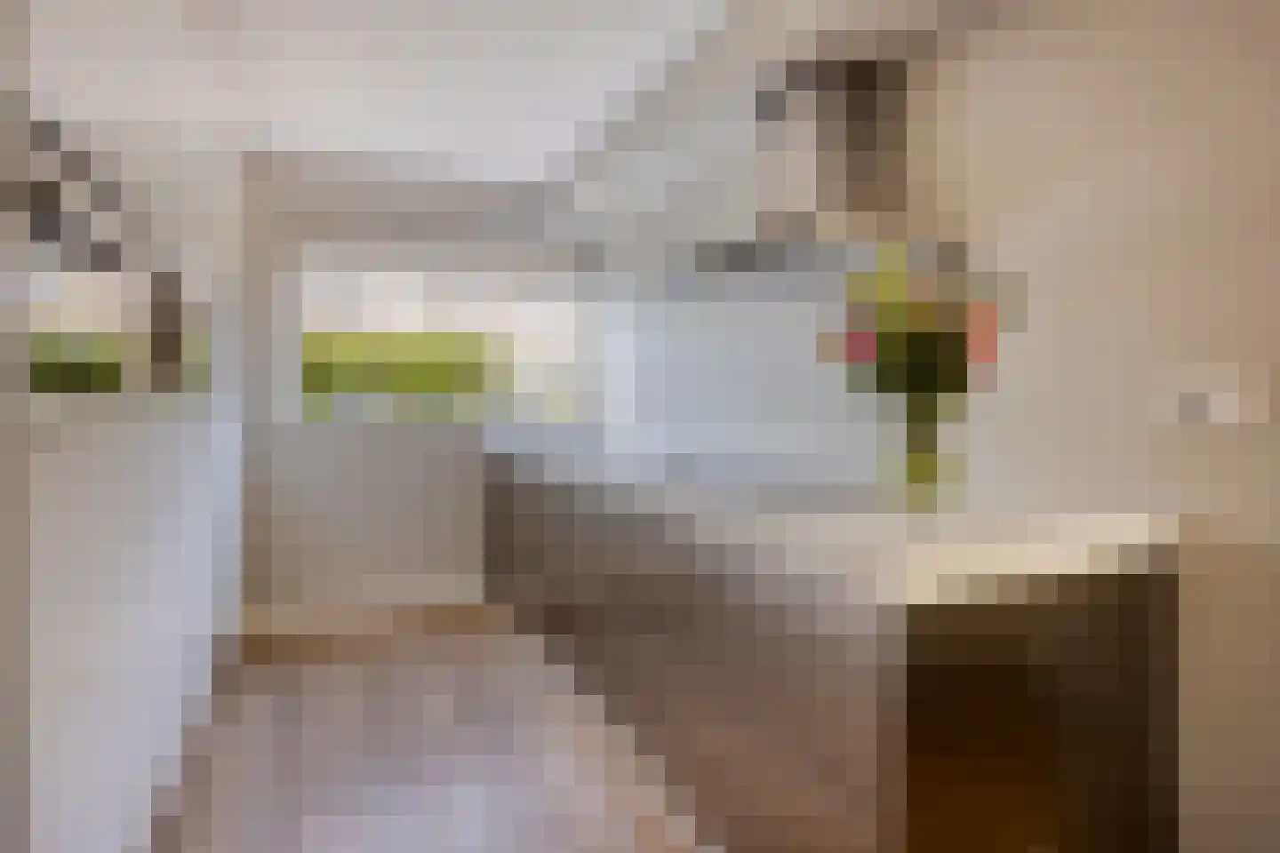 Andoornweg 37 Grave thumbnail 4
