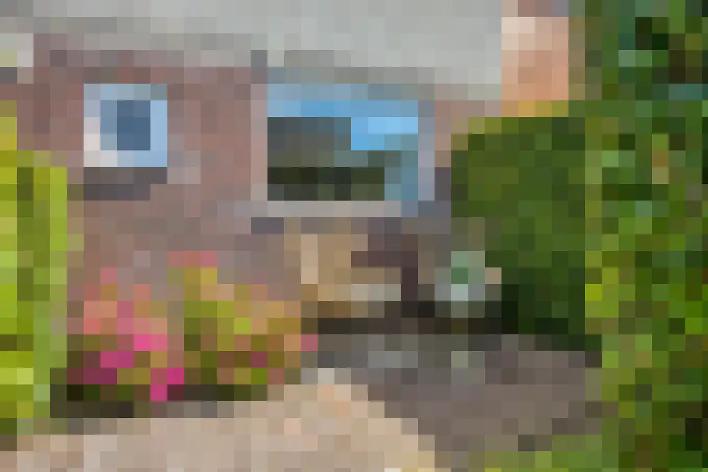 Andoornweg 37 Grave thumbnail 8