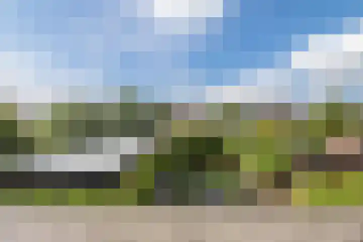 Andoornweg 50 Grave thumbnail 19