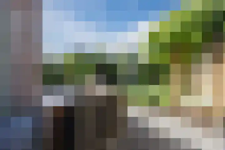 Andoornweg 50 Grave thumbnail 28