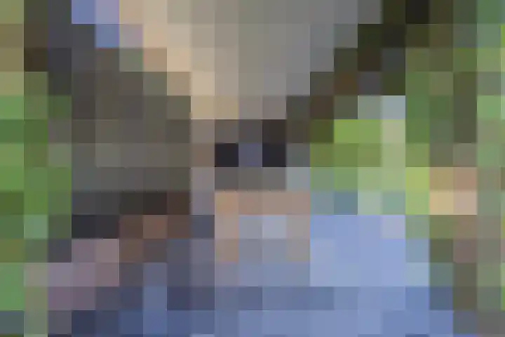 Andoornweg 50 Grave thumbnail 31