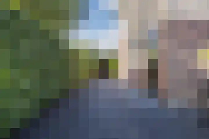 Andoornweg 50 Grave thumbnail 33