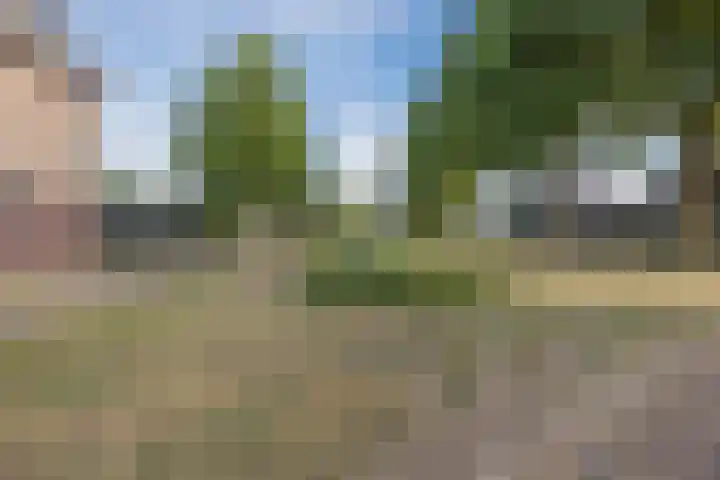 Andoornweg 50 Grave thumbnail 36