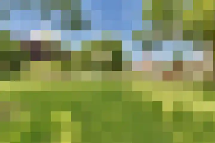 Andoornweg 50 Grave thumbnail 37