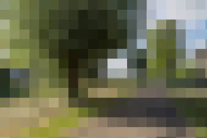 Andoornweg 50 Grave thumbnail 38