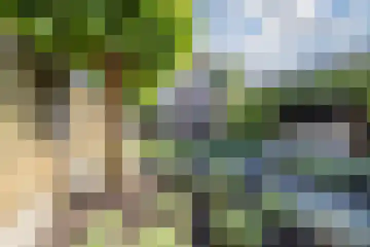 Andoornweg 50 Grave thumbnail 4