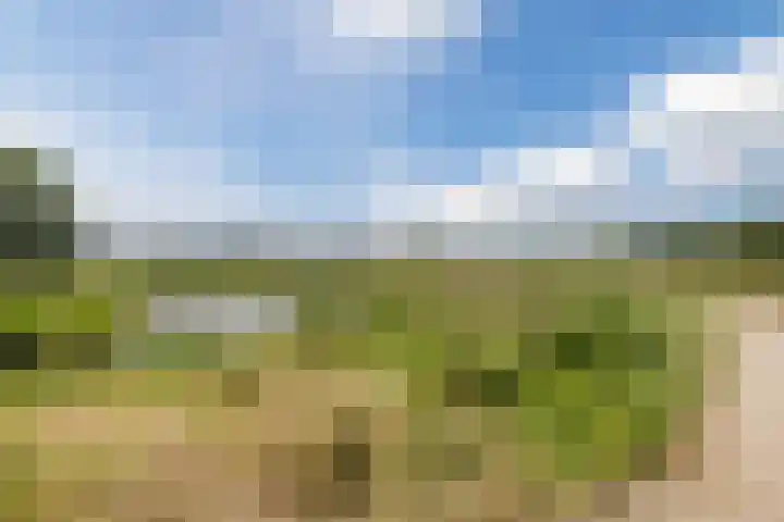 Andoornweg 50 Grave thumbnail 40