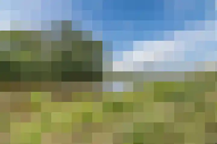 Andoornweg 50 Grave thumbnail 41