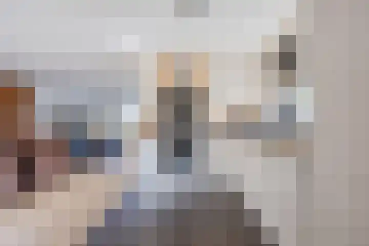 Andoornweg 50 Grave thumbnail 8