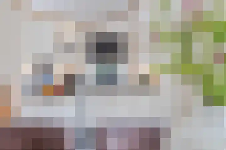 Andoornweg 50 Grave thumbnail 9