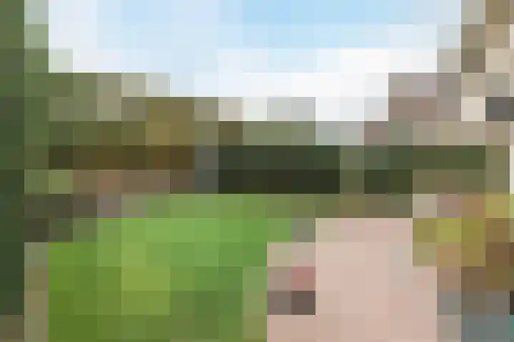 Andoornweg 56 Grave thumbnail 29