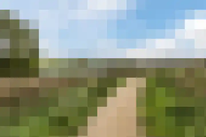 Andoornweg 56 Grave thumbnail 33