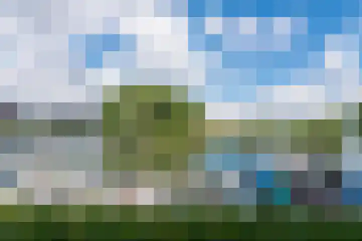 Andoornweg 56 Grave thumbnail 39