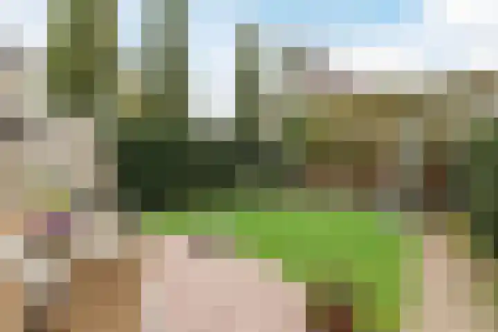 Andoornweg 56 Grave thumbnail 4