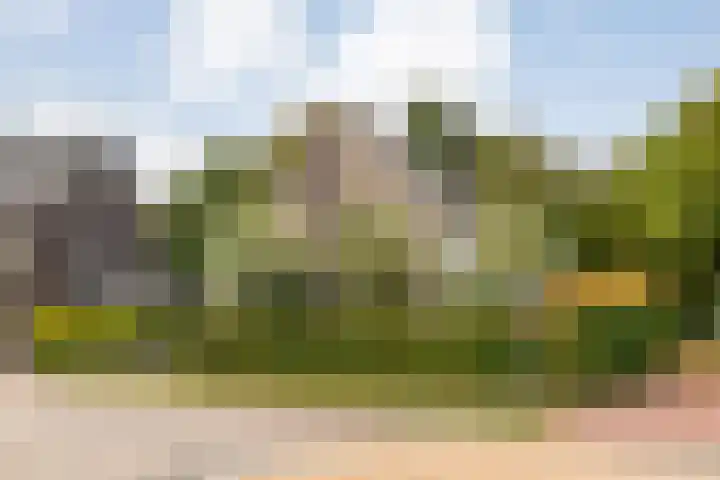 Andoornweg 69 Grave thumbnail 21