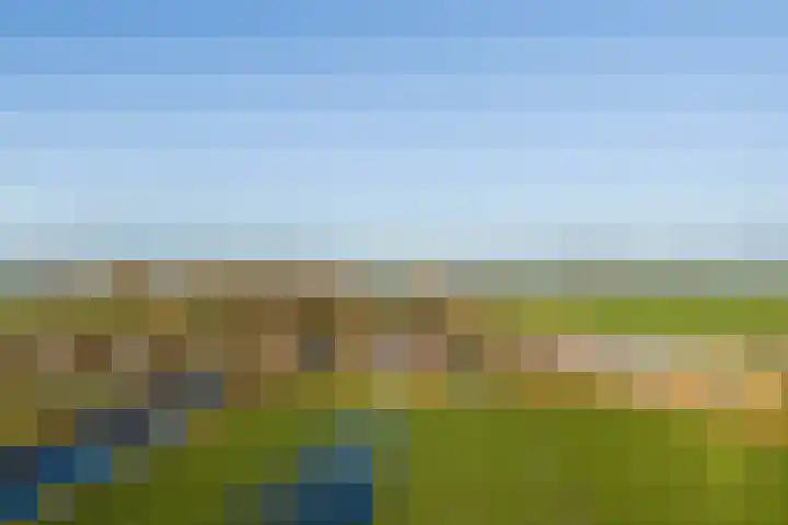 Andoornweg 69 Grave thumbnail 27