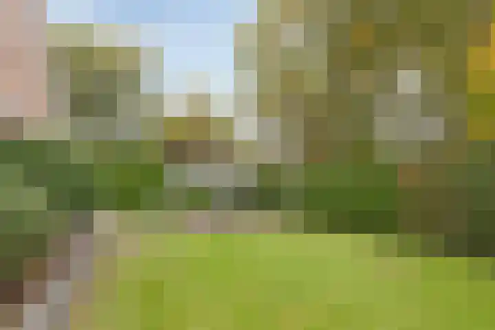 Andorrapad 4 Bergen op Zoom thumbnail 43