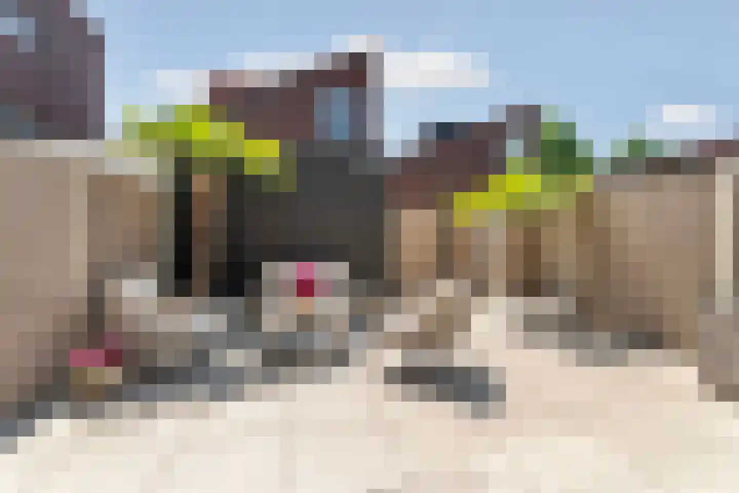 André Franquinweg 42 Almere thumbnail 38