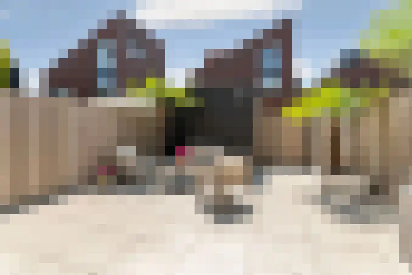 André Franquinweg 42 Almere thumbnail 40
