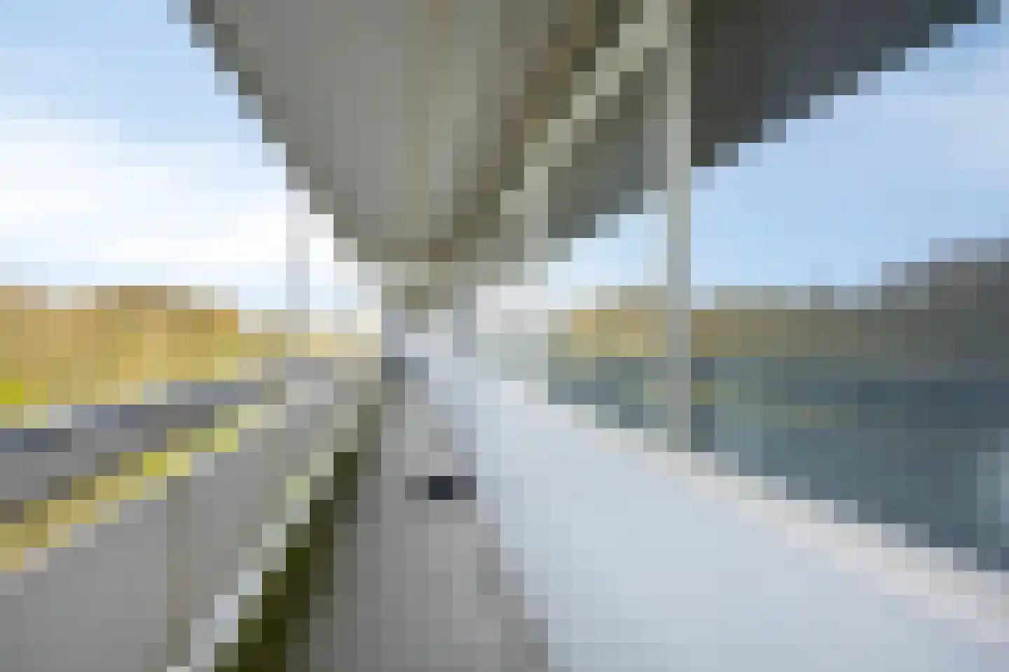 André Gideplaats 133 Rotterdam thumbnail 32