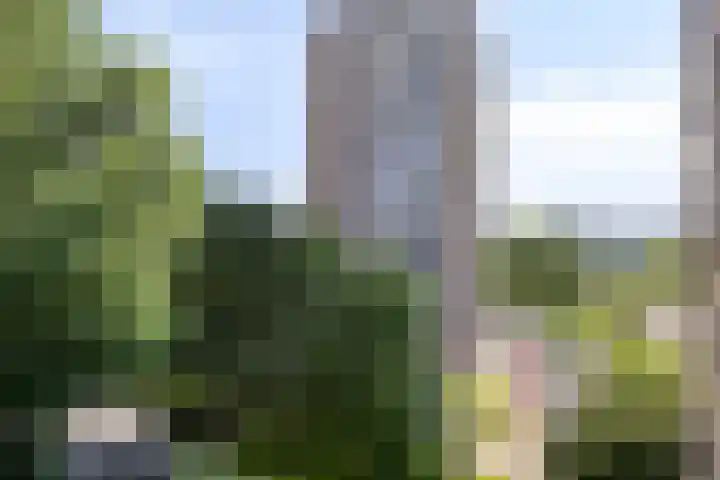 André Gideplaats 139 Rotterdam thumbnail 29