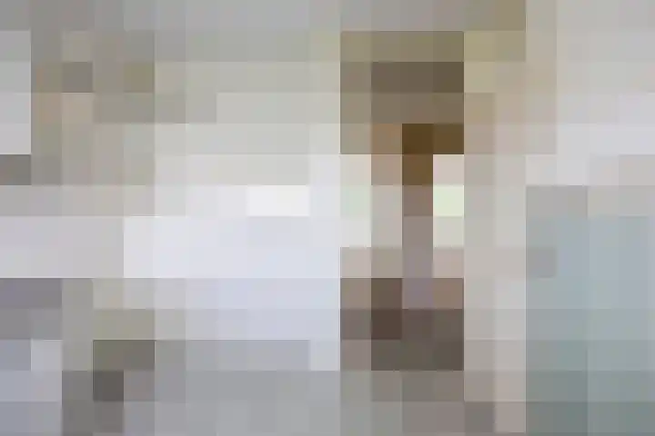 André Gideplaats 139 Rotterdam thumbnail 7