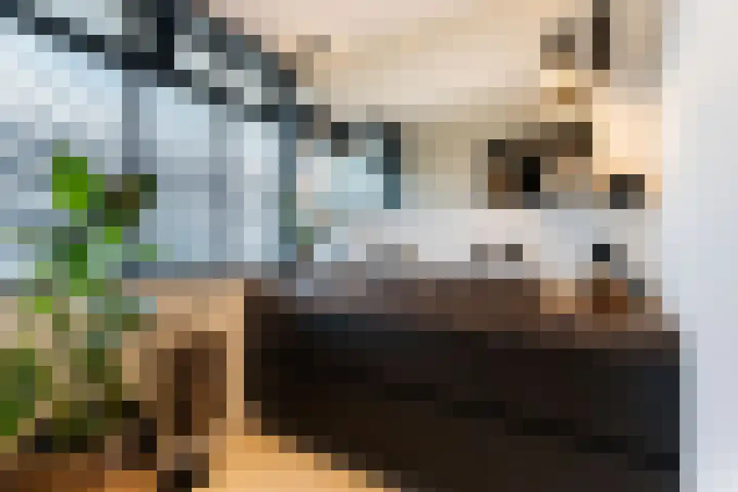 André Gideplaats 393 Rotterdam thumbnail 32