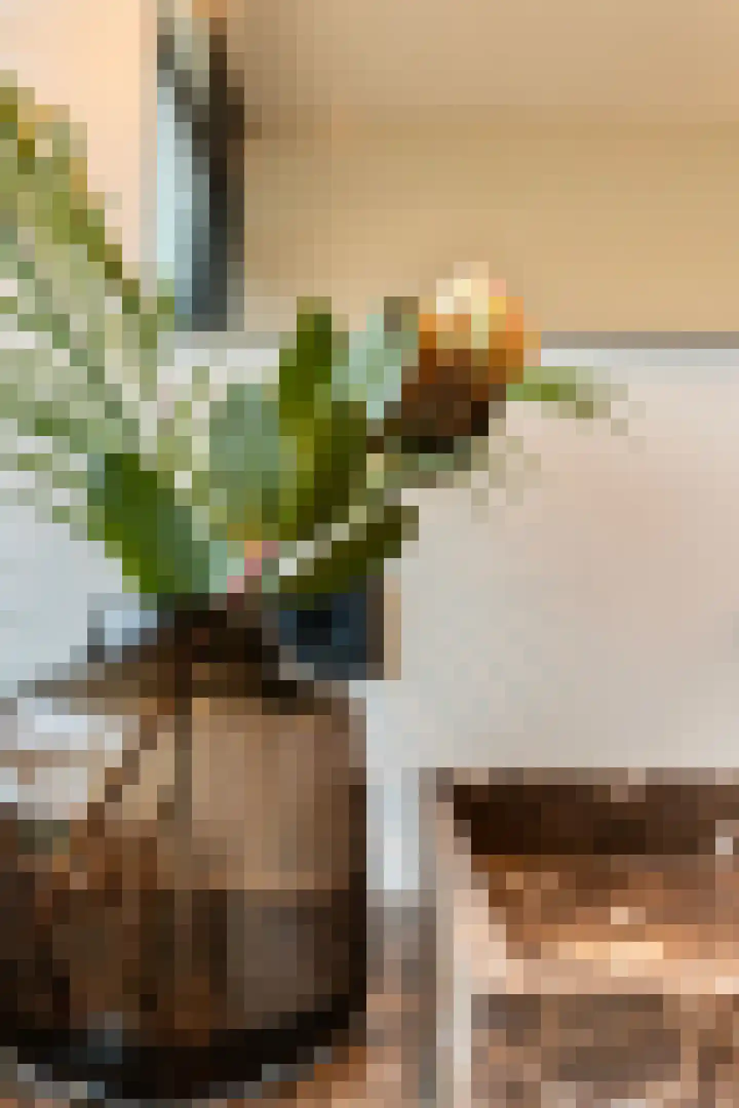 André Gideplaats 393 Rotterdam thumbnail 34