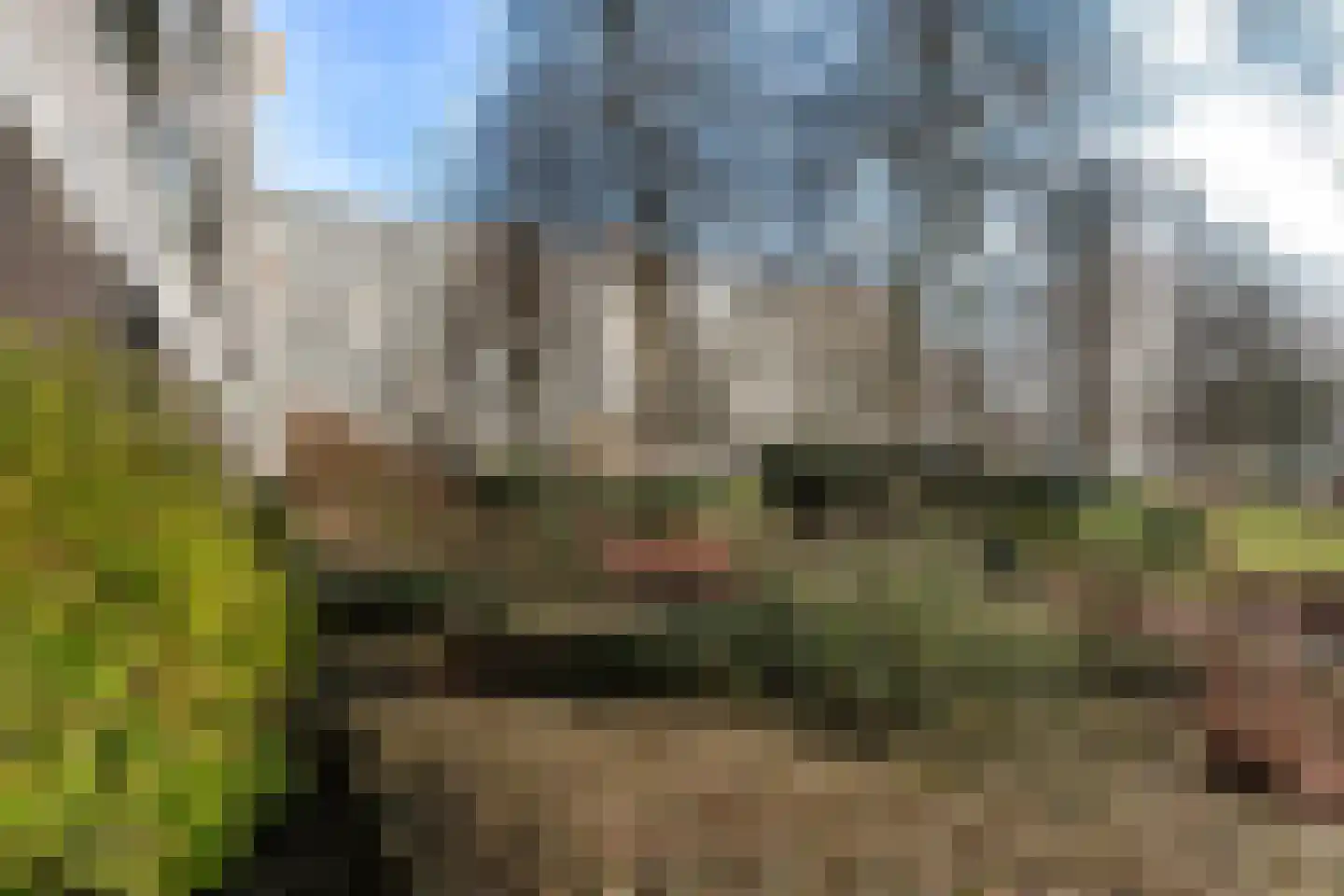 André Gideplaats 393 Rotterdam thumbnail 37
