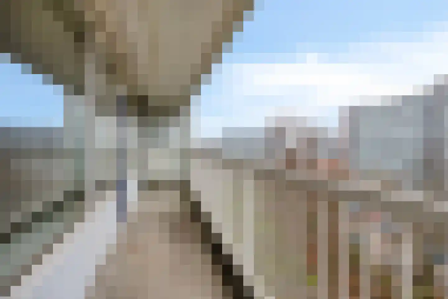 André Gideplaats 421 Rotterdam thumbnail 29
