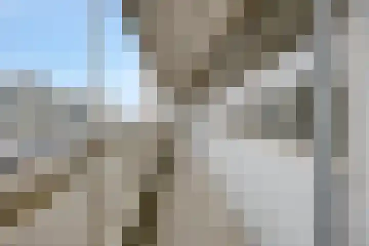 André Gideplaats 421 Rotterdam thumbnail 9