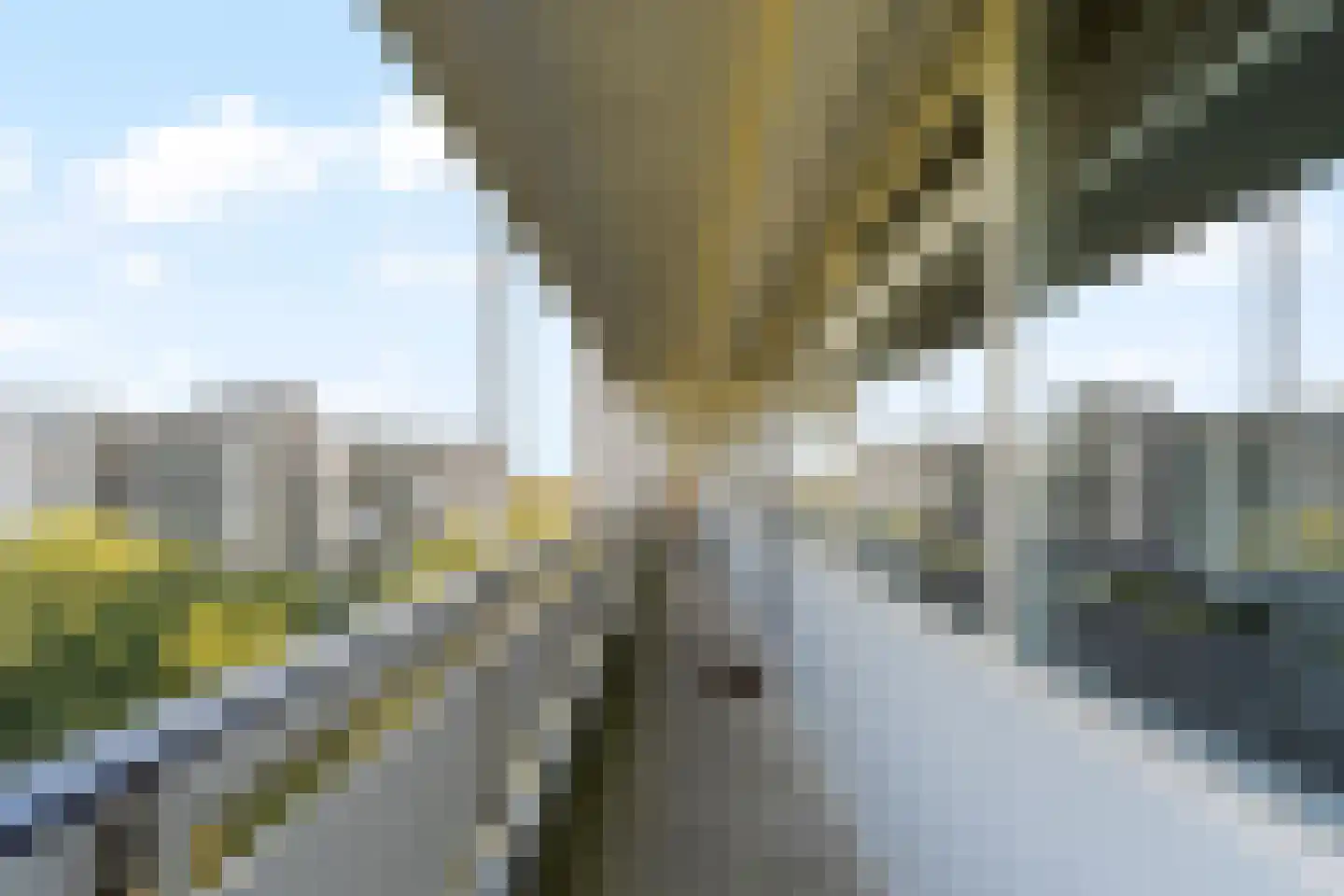 André Gideplaats 441 Rotterdam thumbnail 22