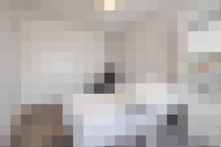 André Gideplaats 99 Rotterdam thumbnail 11