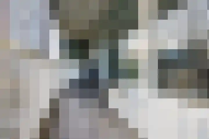 André Gideplaats 99 Rotterdam thumbnail 19