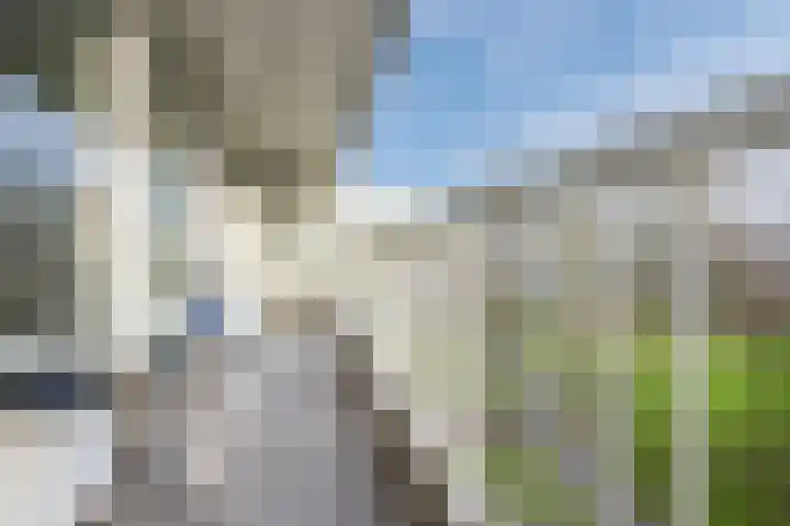André Gideplaats 99 Rotterdam thumbnail 21