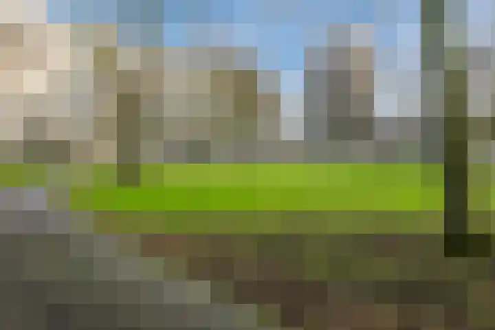 André Gideplaats 99 Rotterdam thumbnail 29