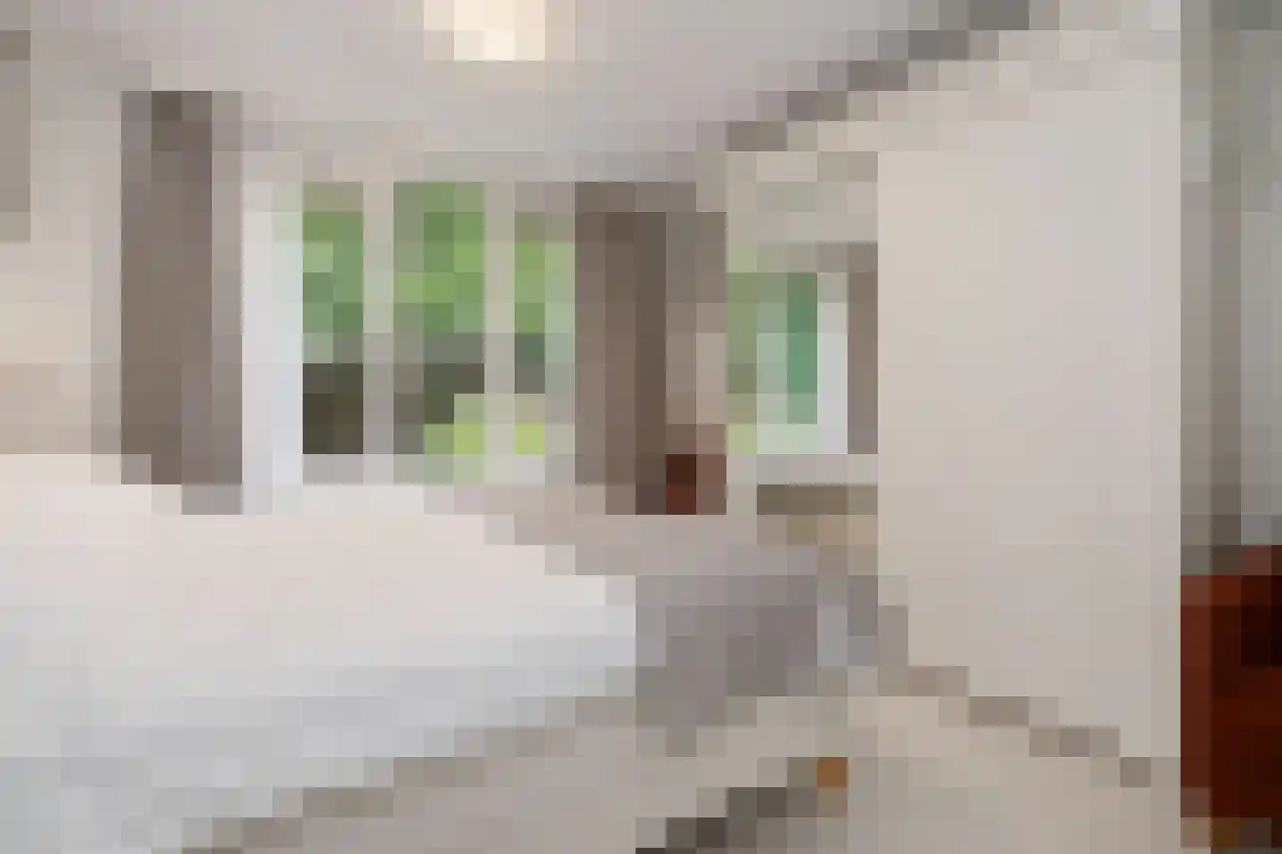 André Gideweg 8 Epe thumbnail 17