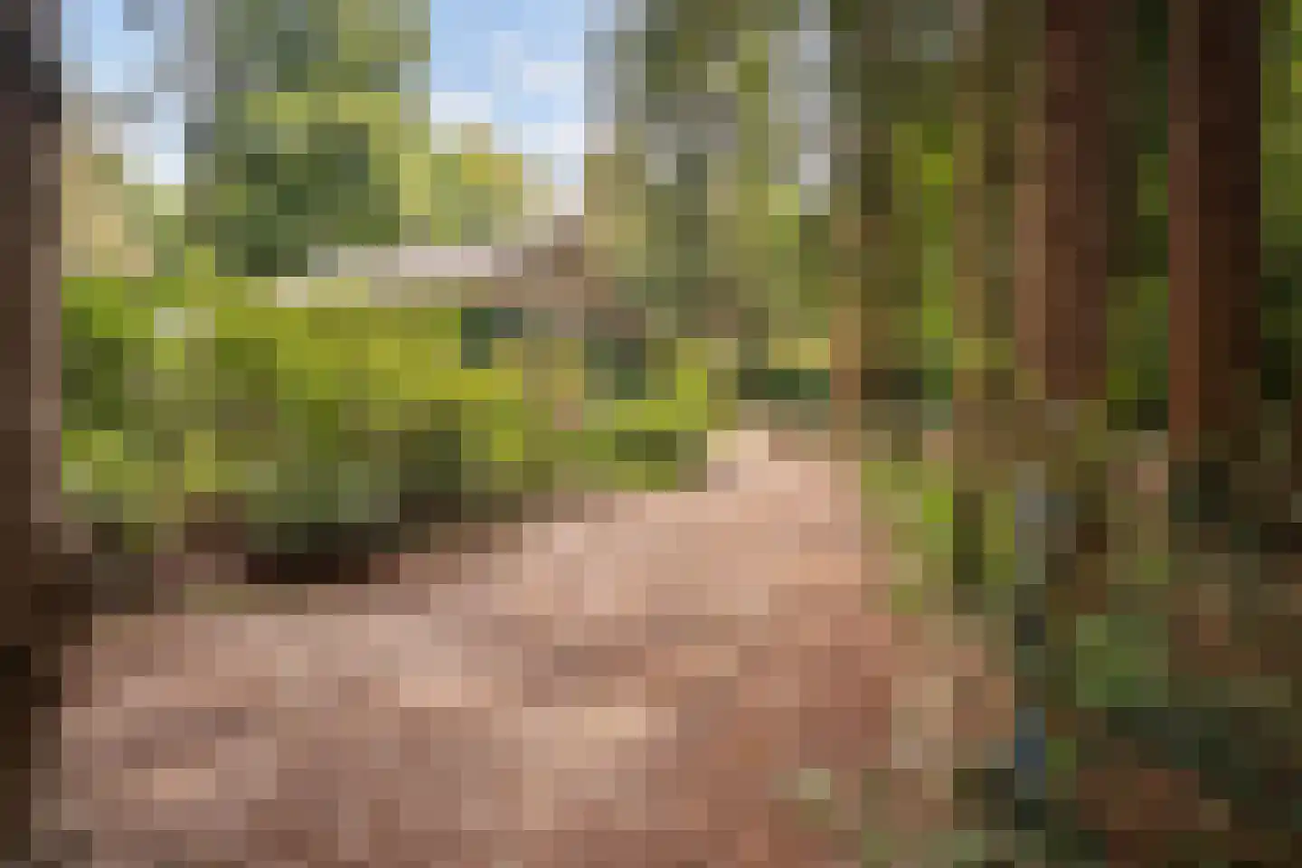 André Gideweg 8 Epe thumbnail 5