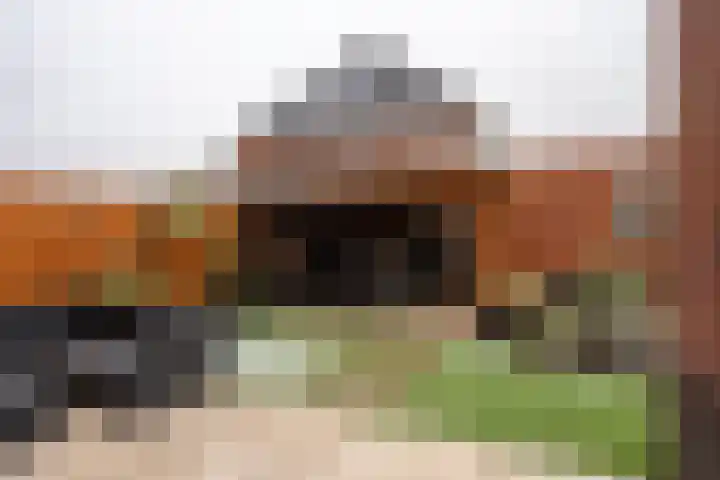 André van den Heuvelstraat 8 Berkel en Rodenrijs thumbnail 68