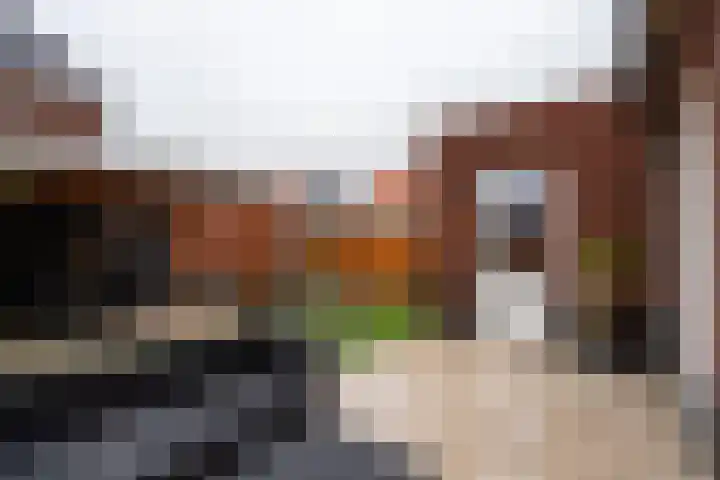 André van den Heuvelstraat 8 Berkel en Rodenrijs thumbnail 69