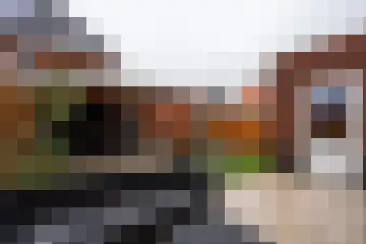 André van den Heuvelstraat 8 Berkel en Rodenrijs thumbnail 70