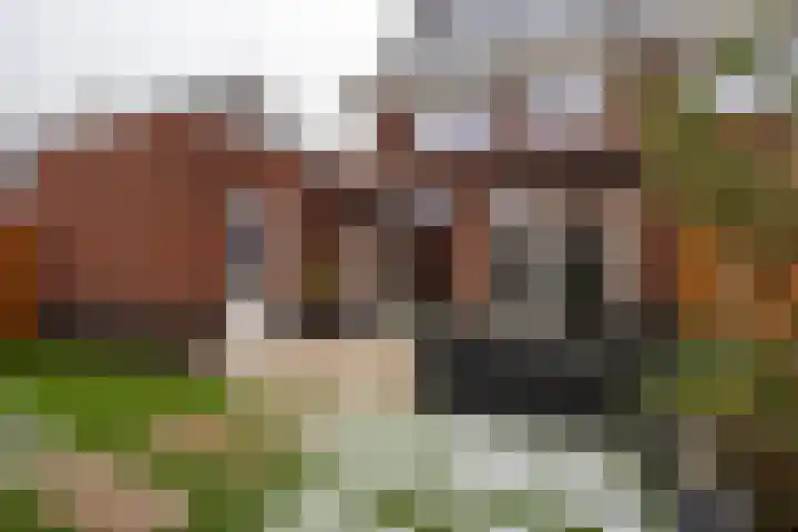 André van den Heuvelstraat 8 Berkel en Rodenrijs thumbnail 72